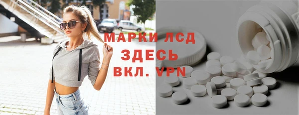 стаф Аркадак