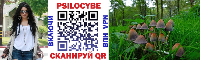 Псилоцибиновые грибы мицелий  Купить где  Приморско-Ахтарск 